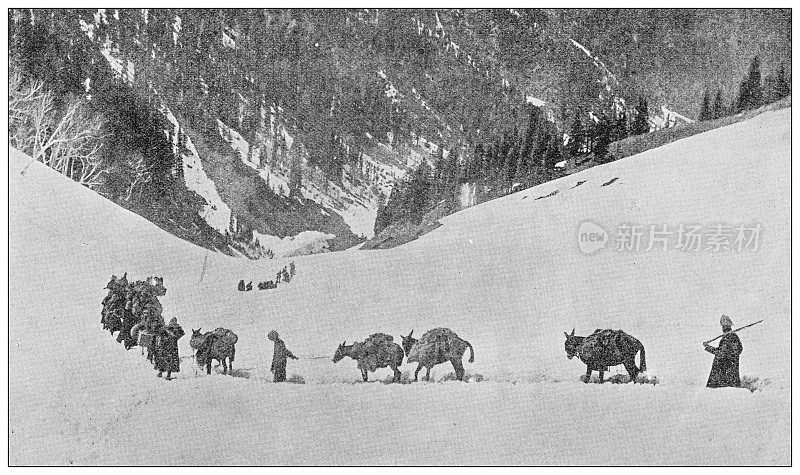 来自英国杂志的古董图片:Buffs crossing, Lowari pass